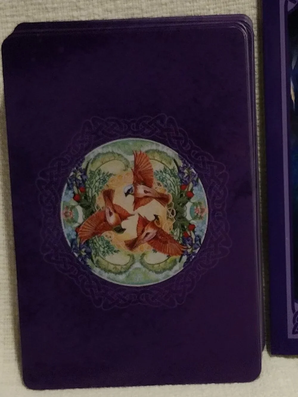 Blessed Be - Picture 4 of 14